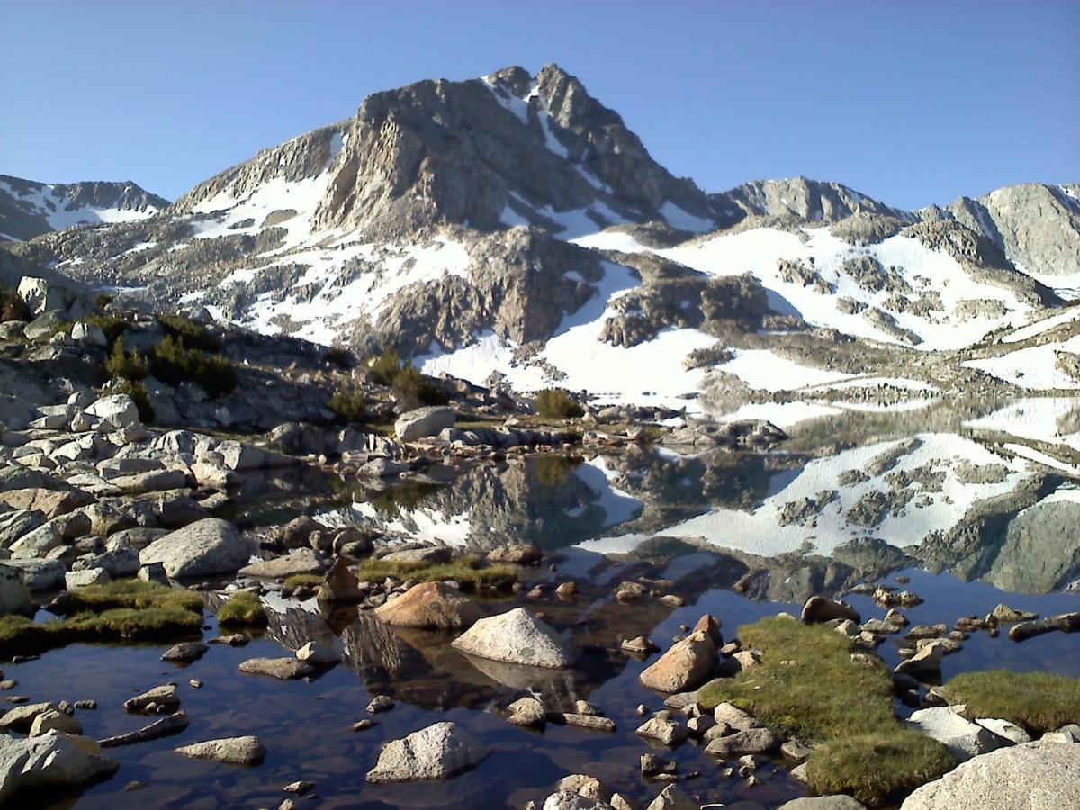 Mountainback #74 Mammoth Lakes